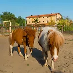 ベッド・アンド・ブレックファスト Masseria Gianna Dei Marmi フォルテ・デイ・マルミ