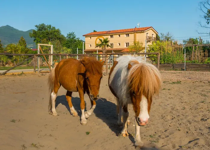 Bed & Breakfast Masseria Gianna Dei Marmi Forte dei Marmi