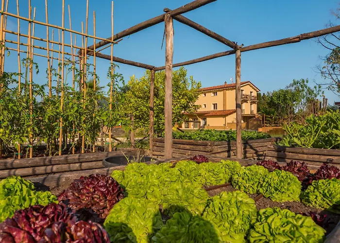 Masseria Gianna Dei Marmi Forte dei Marmi